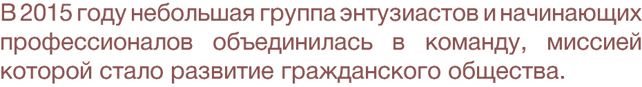 В 2015 году небольшая группа энтузиастов и начинающих профессионалов объединилась в команду, миссией которой стало развитие гражданского общества.